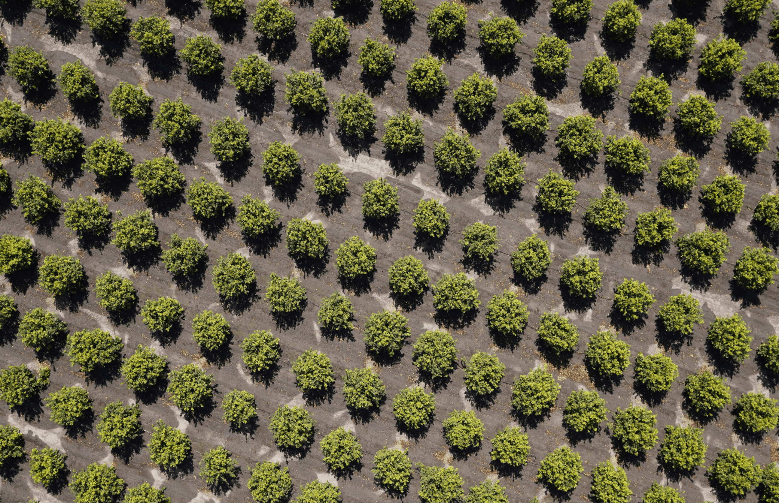 usecase-agriculture-auterion
