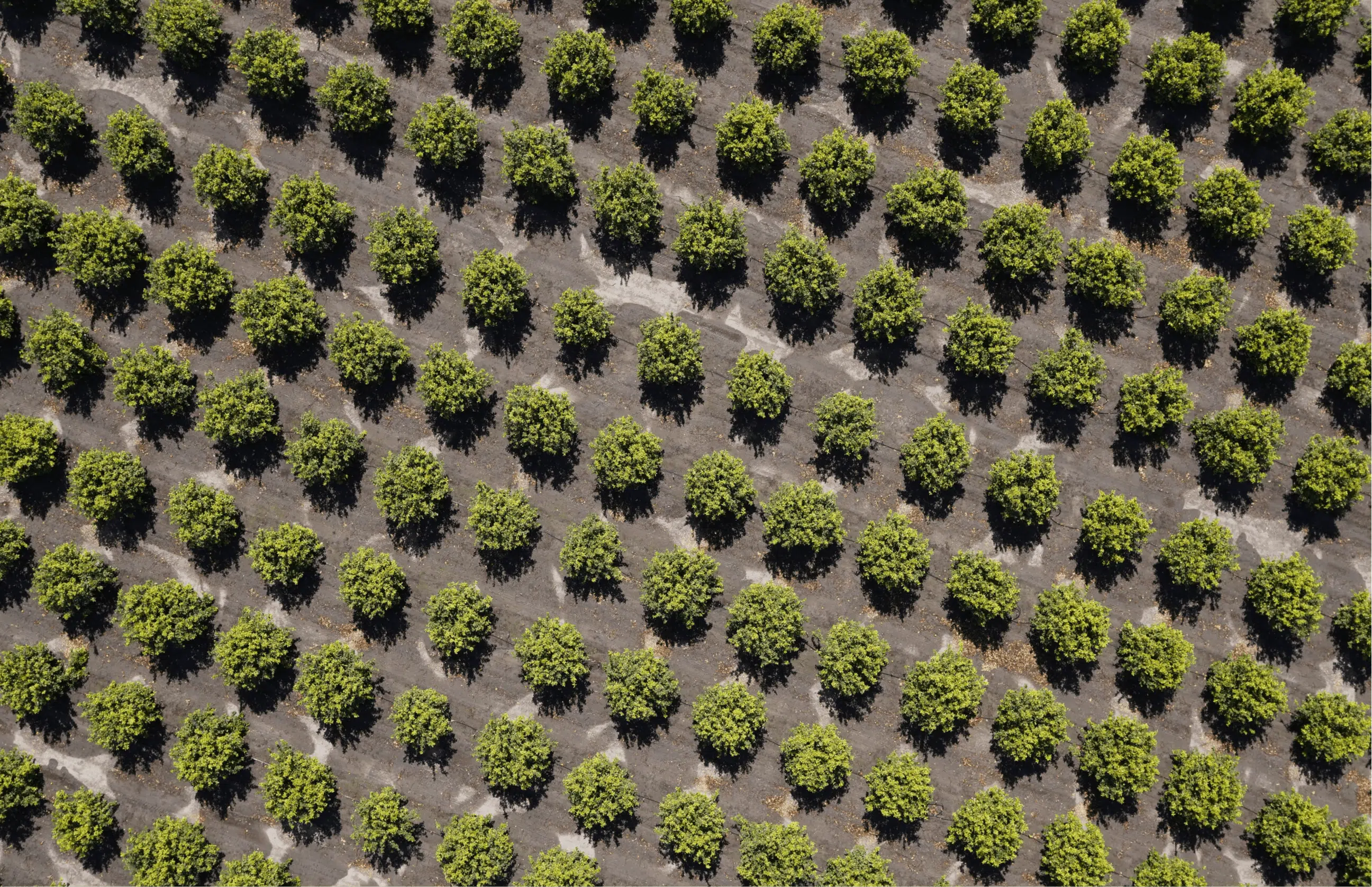 usecase-agriculture-auterion